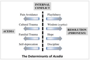 AcediaDeterminants