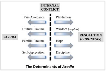 AcediaDeterminants