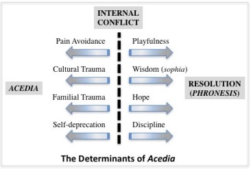 AcediaDeterminants