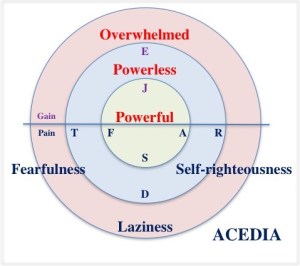 acediamap
