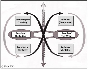 Polarity-Ladder&Wheel