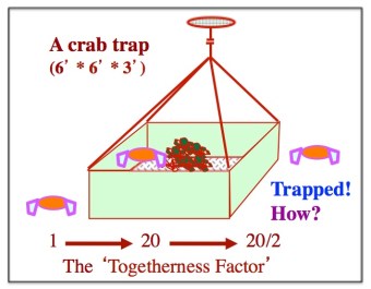 CrabTrap